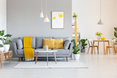 Choosing the Perfect Colours for Your Living Room Furniture: Tips and Tricks