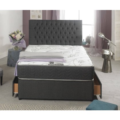 Romantica Orchid Romantica Orchid