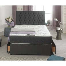 Romantica Orchid Romantica Orchid