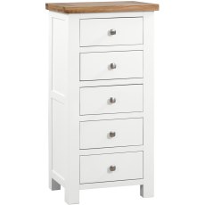 Dodford Painted 5 Drawer Wellington Chest Dodford Painted 5 Drawer Wellington Chest